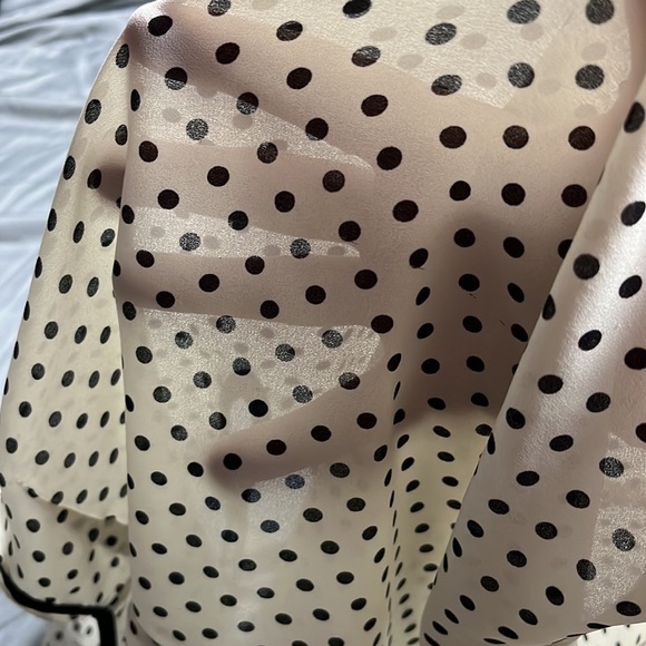 Doe & Rae Ultra Sheer Polka Dot Blouse | Medium - Picture 4 of 4